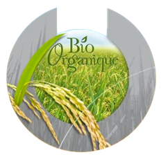 Radiant Day Spa Bio Organique Logo